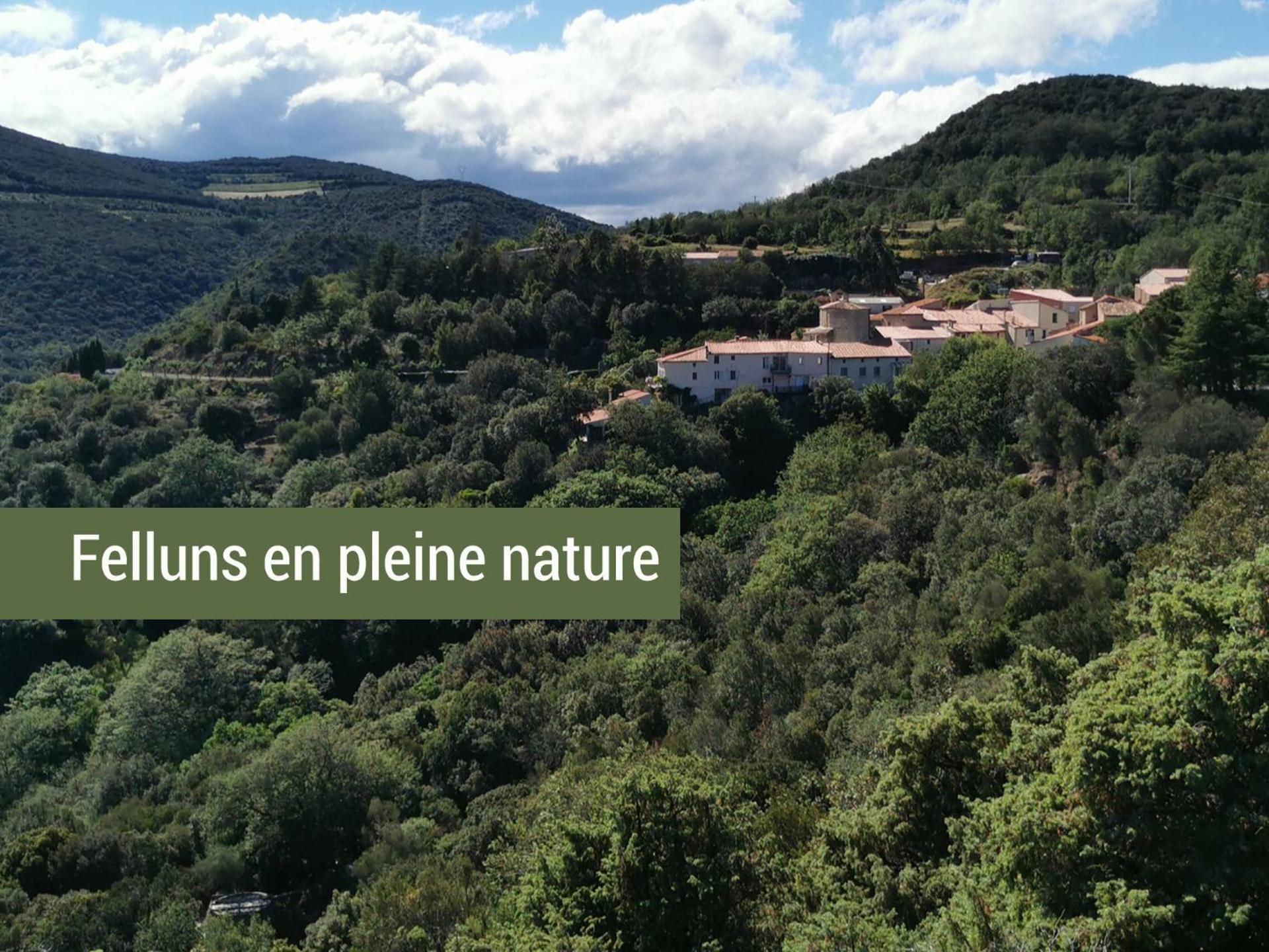 Pyrenees Mon Amour Felluns Εξωτερικό φωτογραφία